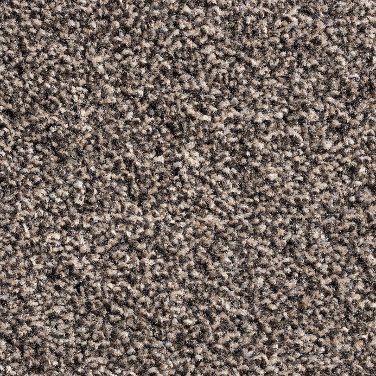 Barrati 15mm Saxony Pile Carpet with Action Backing