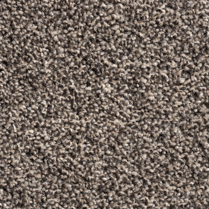 Barrati 15mm Saxony Pile Carpet with Action Backing