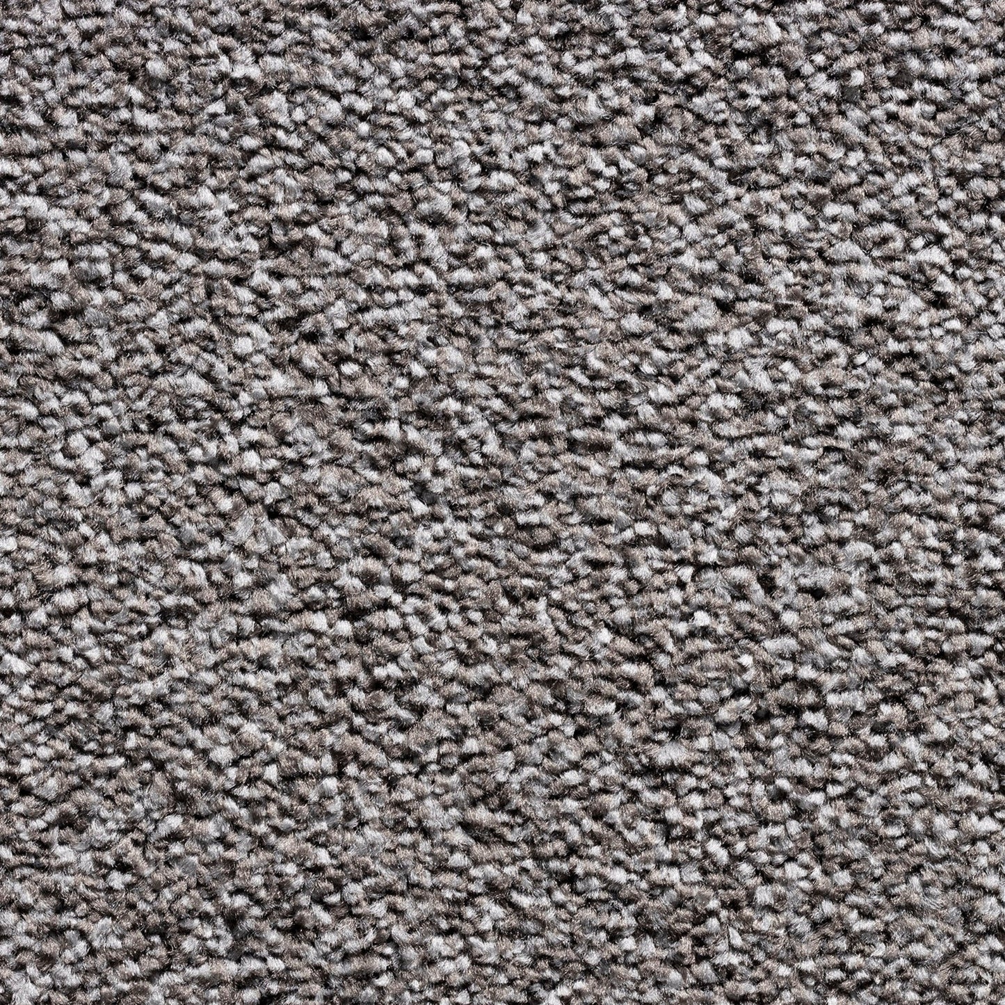 Barrati 15mm Saxony Pile Carpet with Action Backing