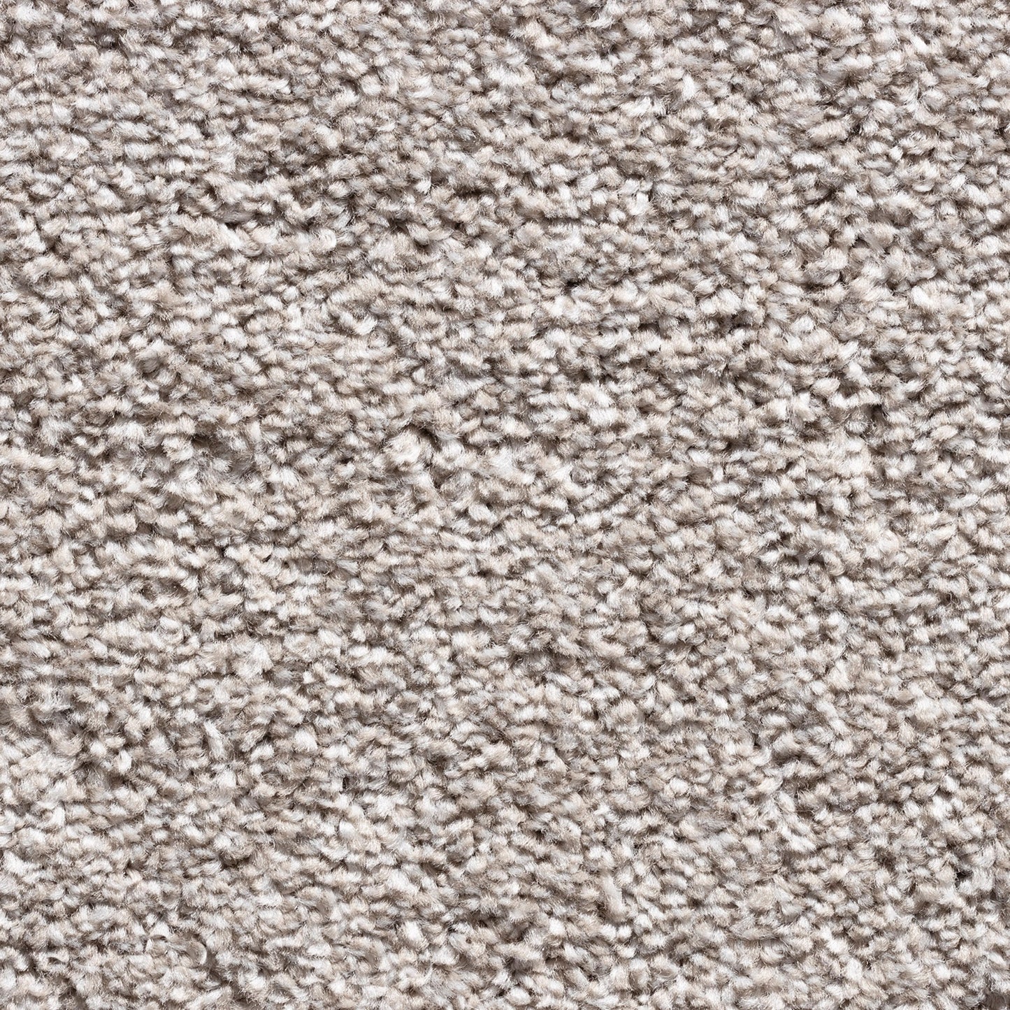 Barrati 15mm Saxony Pile Carpet with Action Backing Sample
