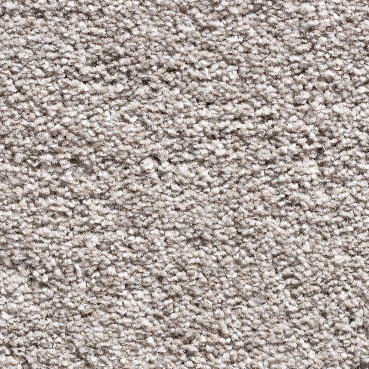 Barrati 15mm Saxony Pile Carpet with Action Backing