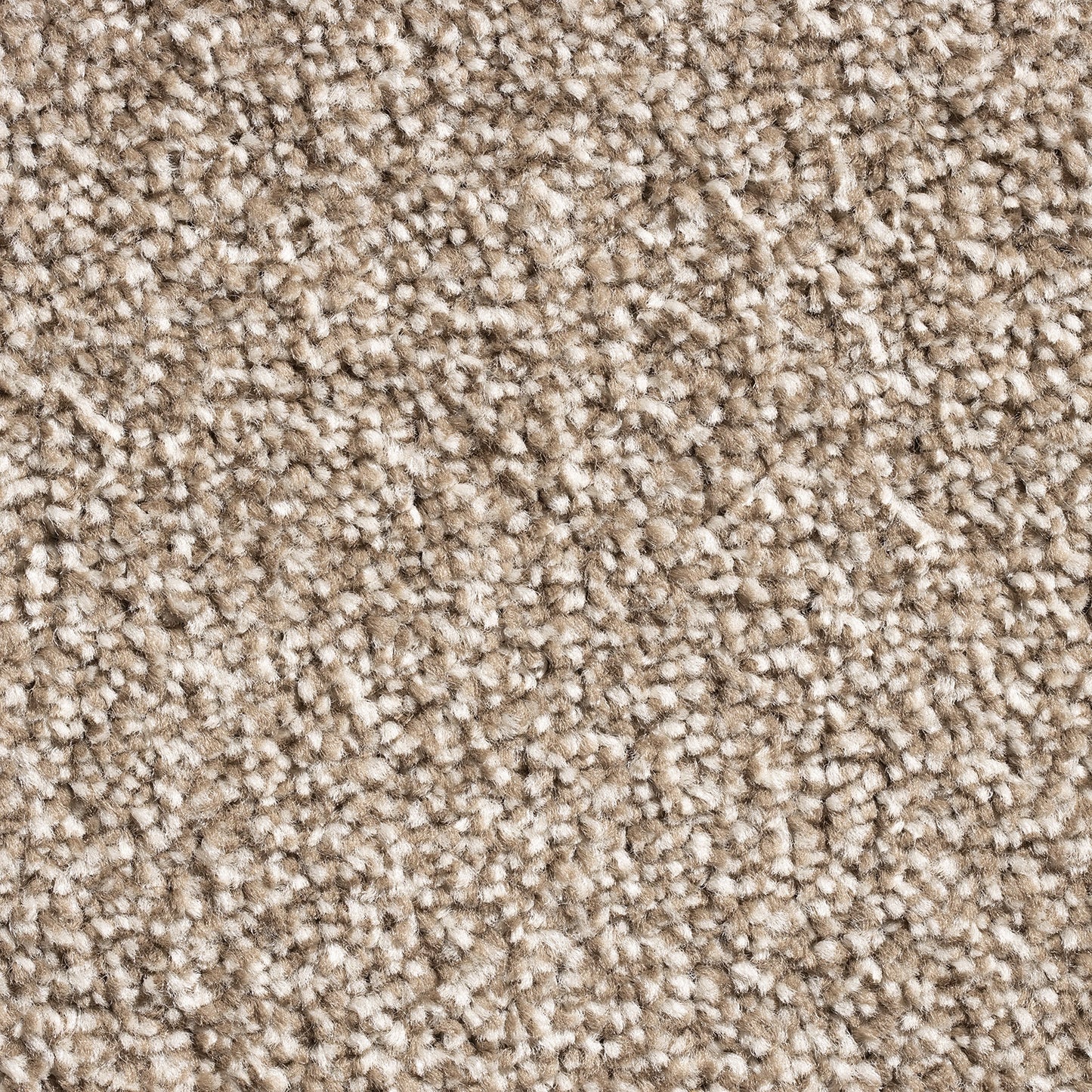 Barrati 15mm Saxony Pile Carpet with Action Backing Sample