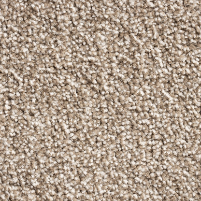 Barrati 15mm Saxony Pile Carpet with Action Backing Sample