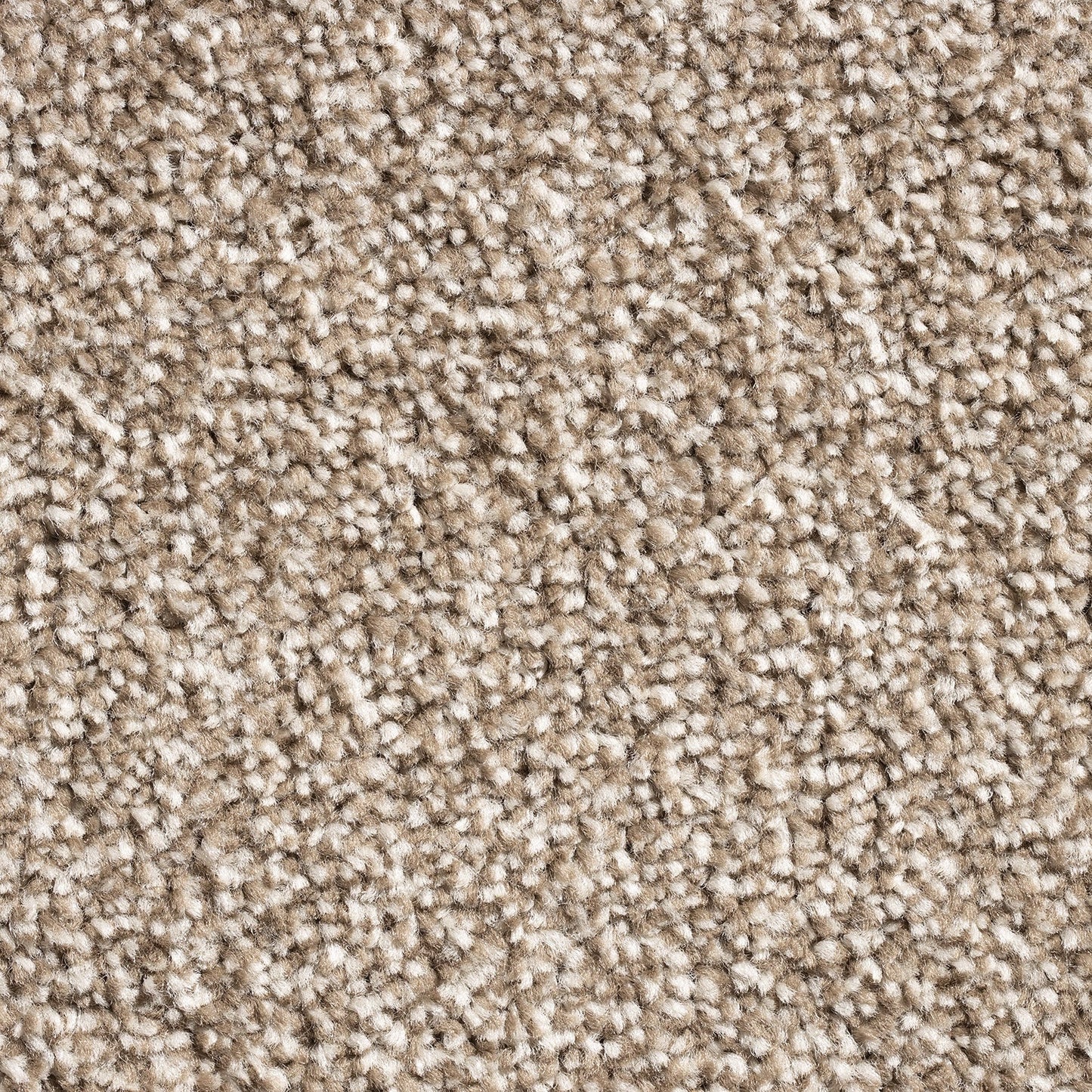 Barrati 15mm Saxony Pile Carpet with Action Backing