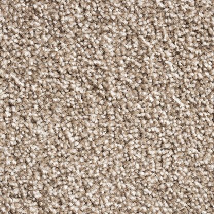 Barrati 15mm Saxony Pile Carpet with Action Backing