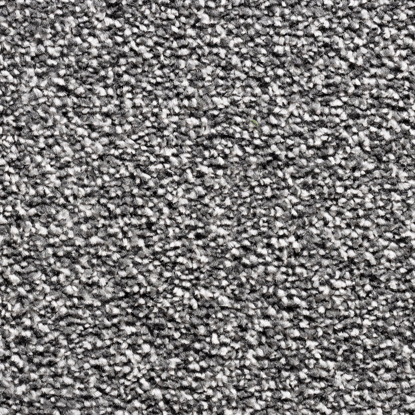 Barrati 15mm Saxony Pile Carpet with Action Backing Sample