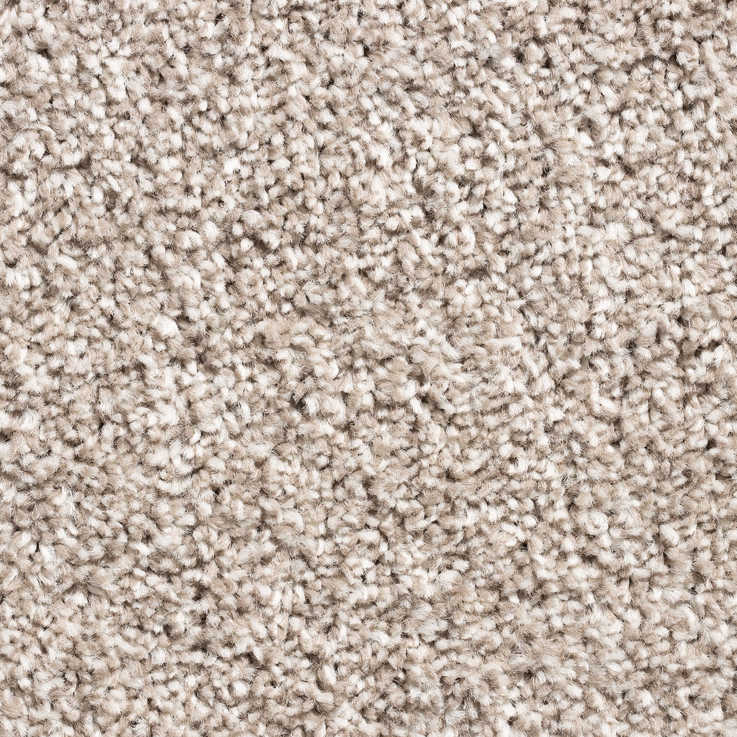 Barrati 15mm Saxony Pile Carpet with Action Backing Sample