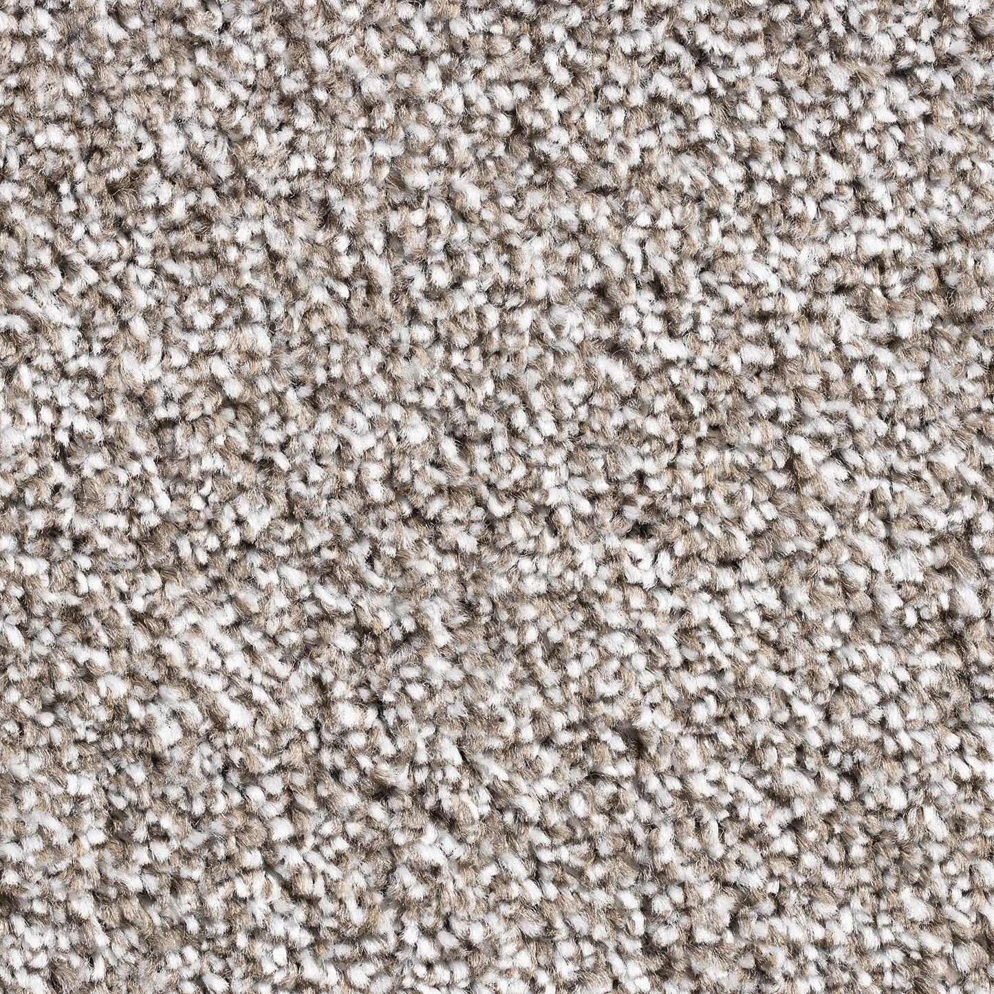Barrati 15mm Saxony Pile Carpet with Action Backing Sample