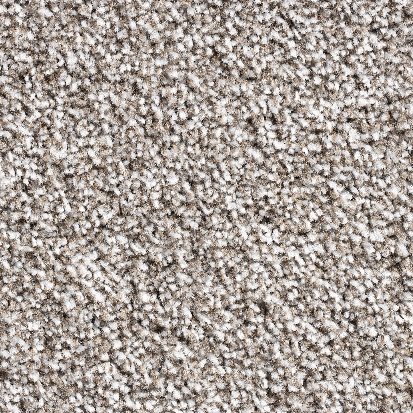 Barrati 15mm Saxony Pile Carpet with Action Backing