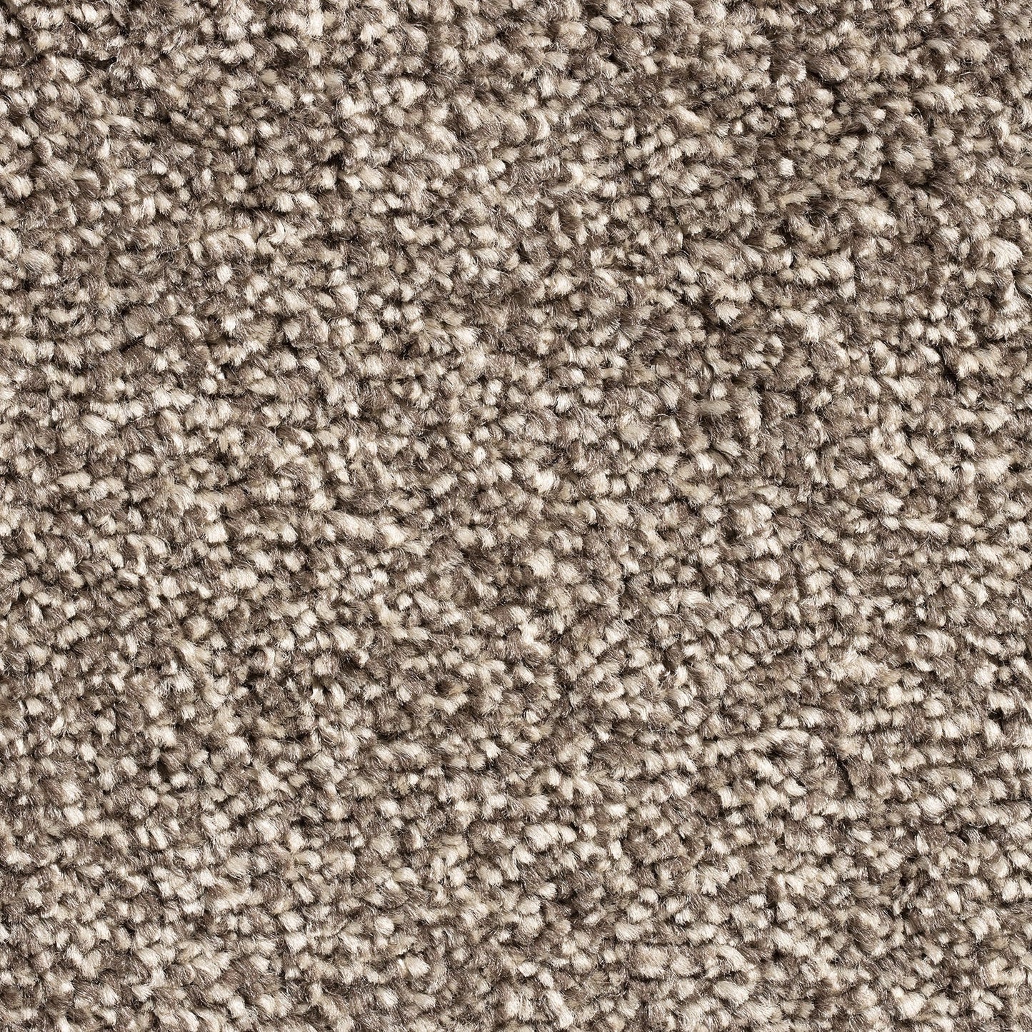 Barrati 15mm Saxony Pile Carpet with Action Backing