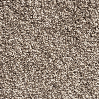 Barrati 15mm Saxony Pile Carpet with Action Backing