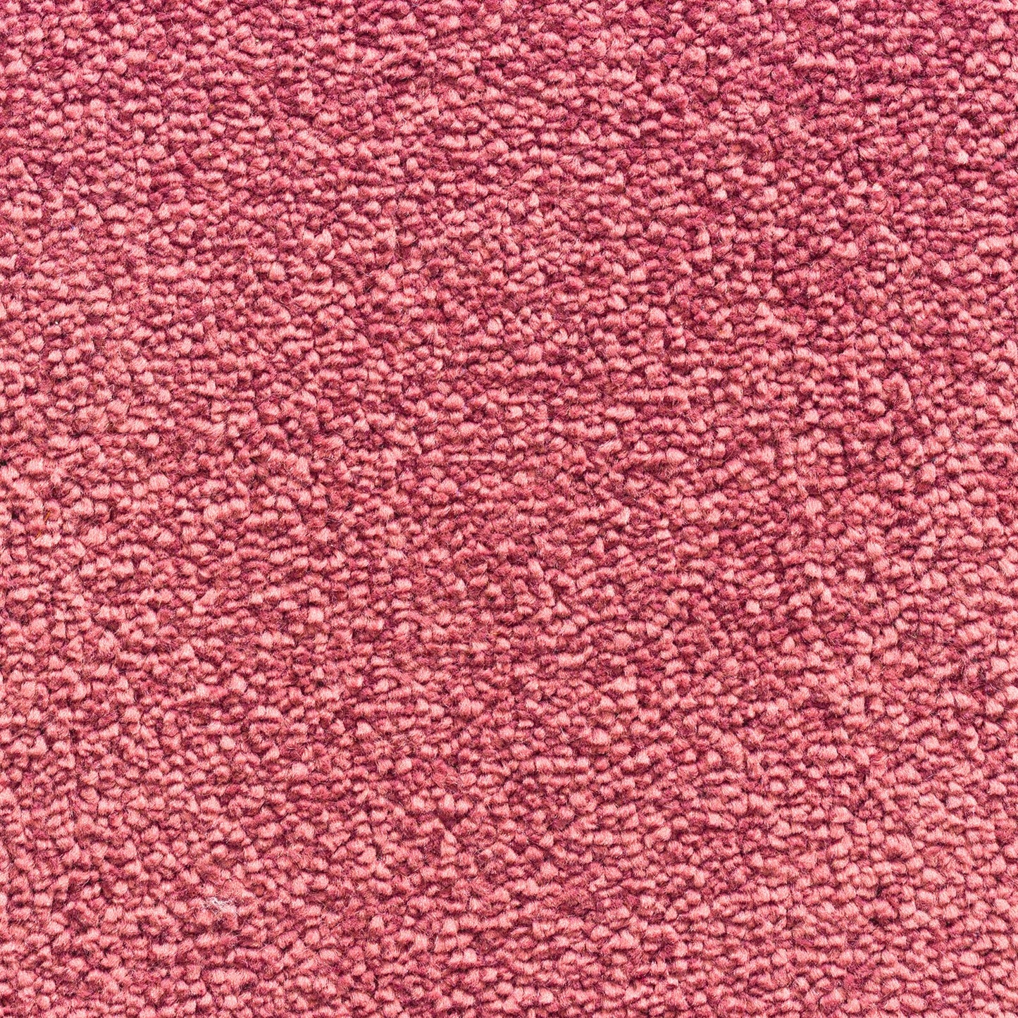 Caldera 11mm Soft Twist Pile Carpet with Action Backing