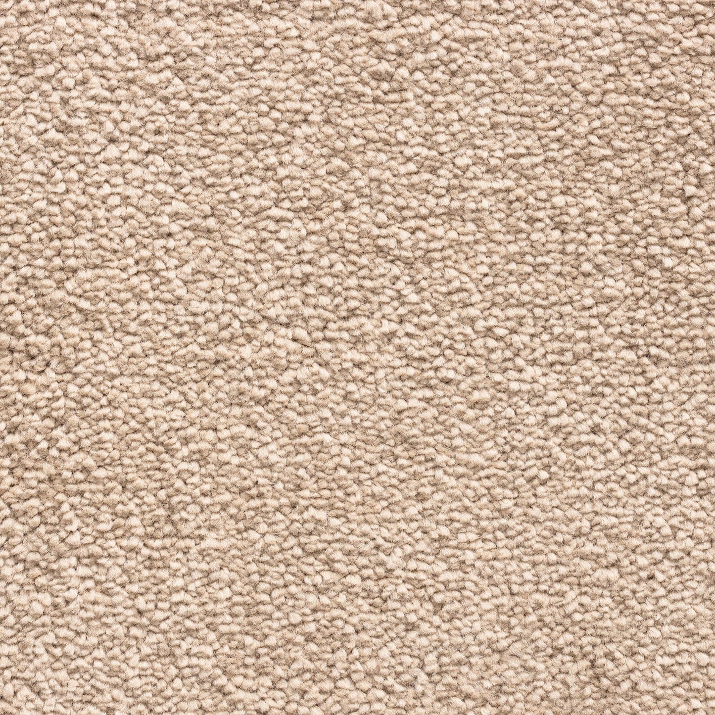 Caldera 11mm Soft Twist Pile Carpet with Action Backing