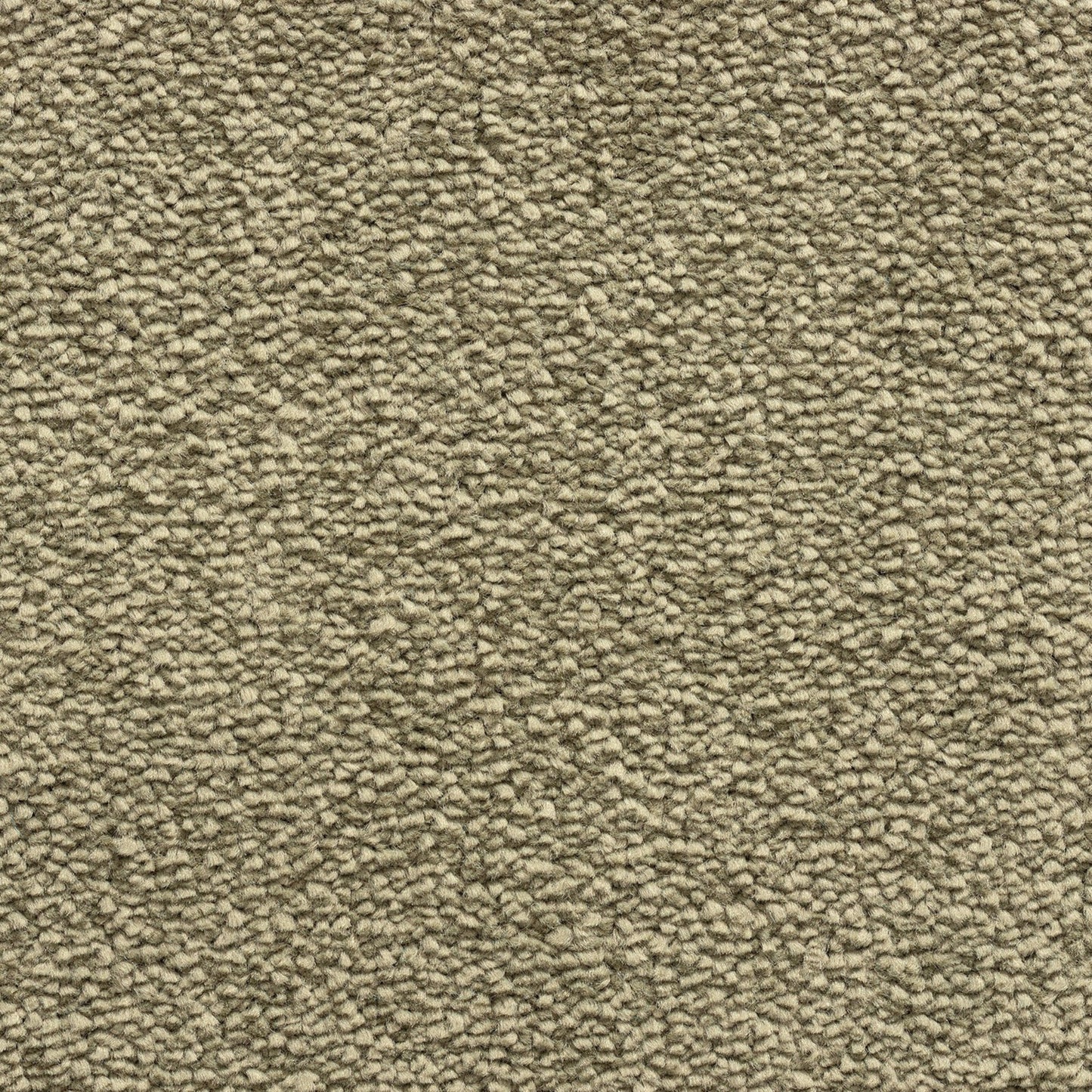 Caldera 11mm Soft Twist Pile Carpet with Action Backing