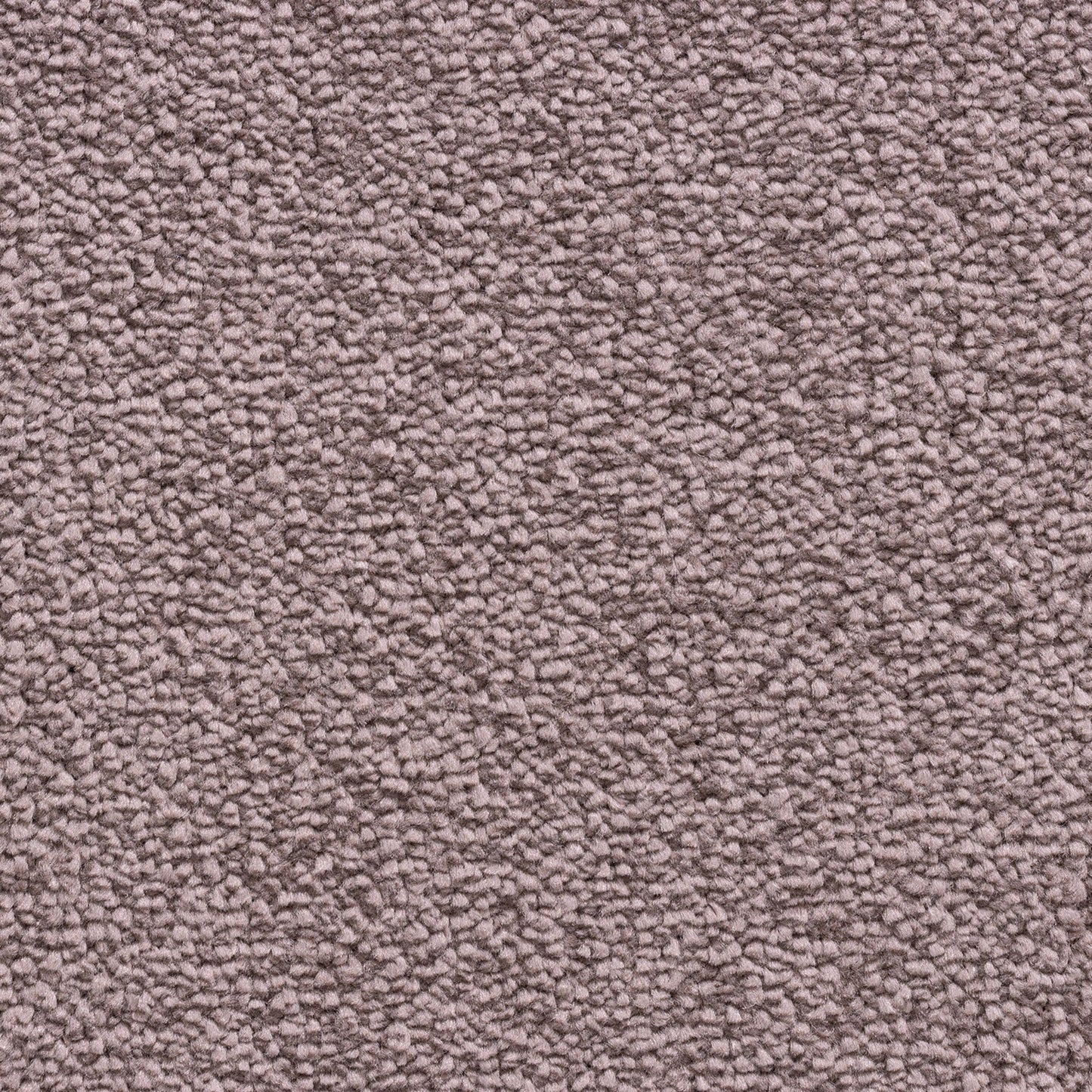 Caldera 11mm Soft Twist Pile Carpet with Action Backing