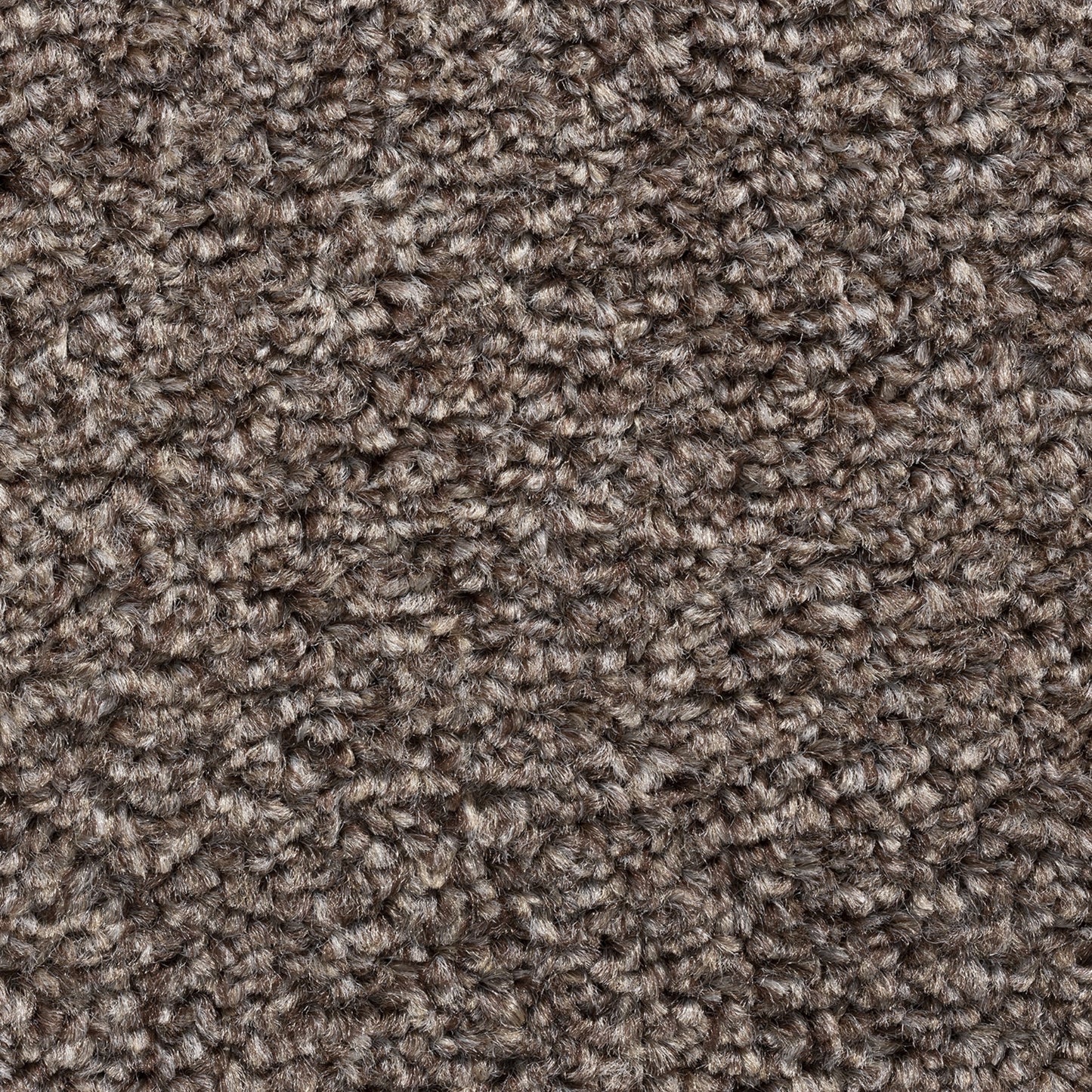 Cavello 8mm Soft Twist Pile Carpet with Felt Backing