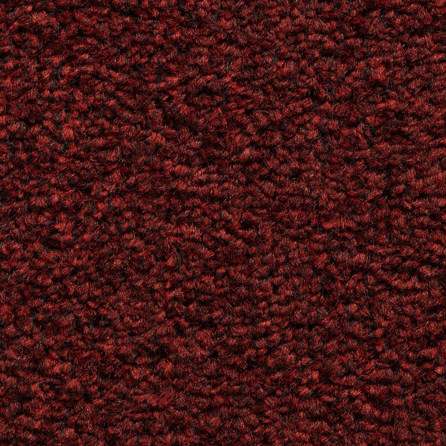 Cavello 8mm Soft Twist Pile Carpet with Felt Backing