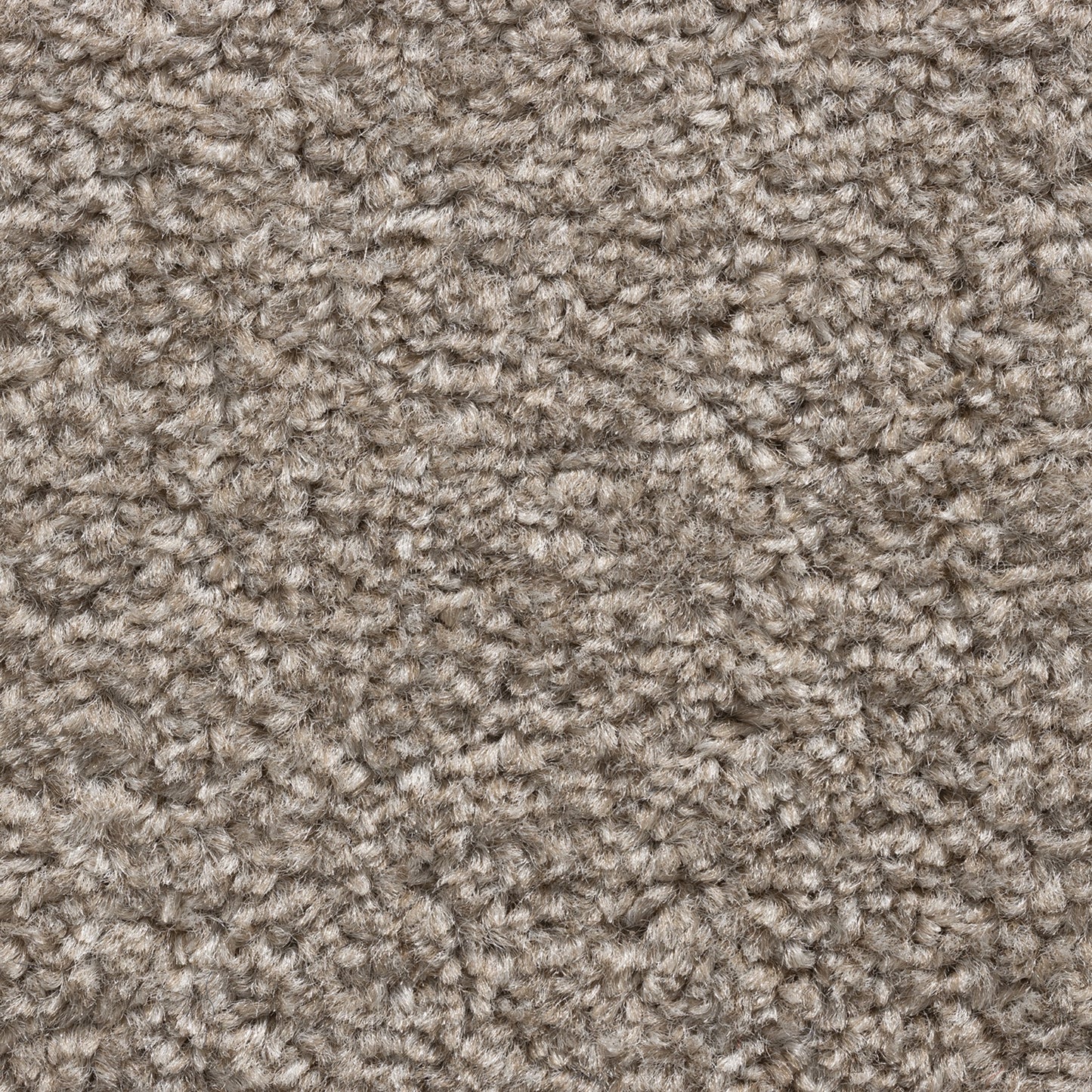 Cavello 8mm Soft Twist Pile Carpet with Felt Backing