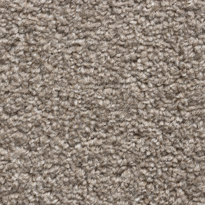 Cavello 8mm Soft Twist Pile Carpet with Felt Backing