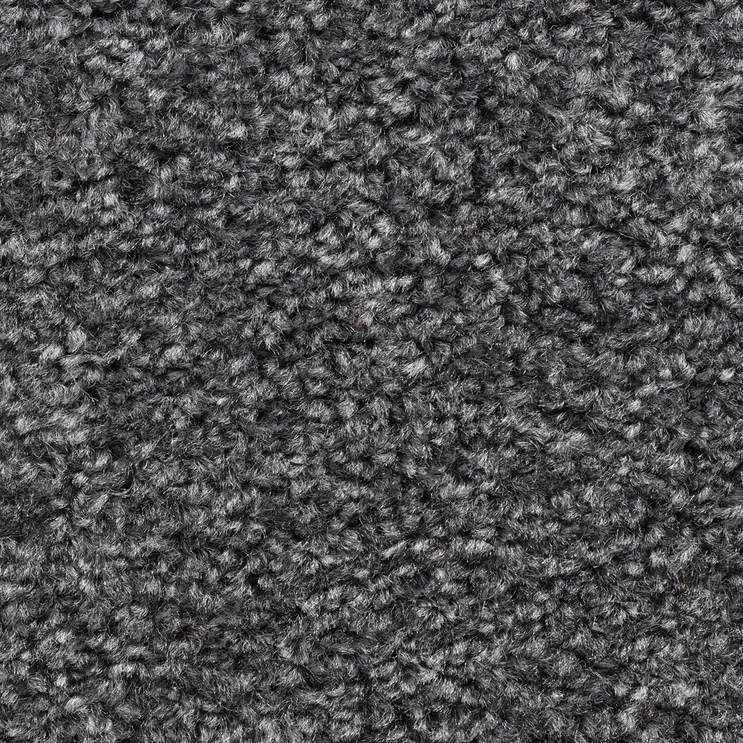 Cavello 8mm Soft Twist Pile Carpet with Felt Backing