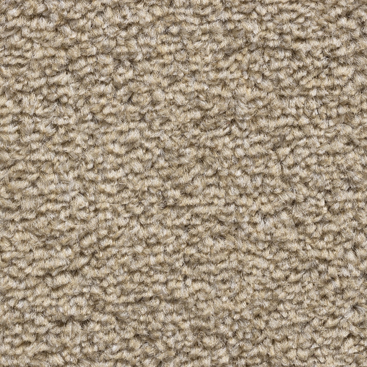 Cavello 8mm Soft Twist Pile Carpet with Felt Backing