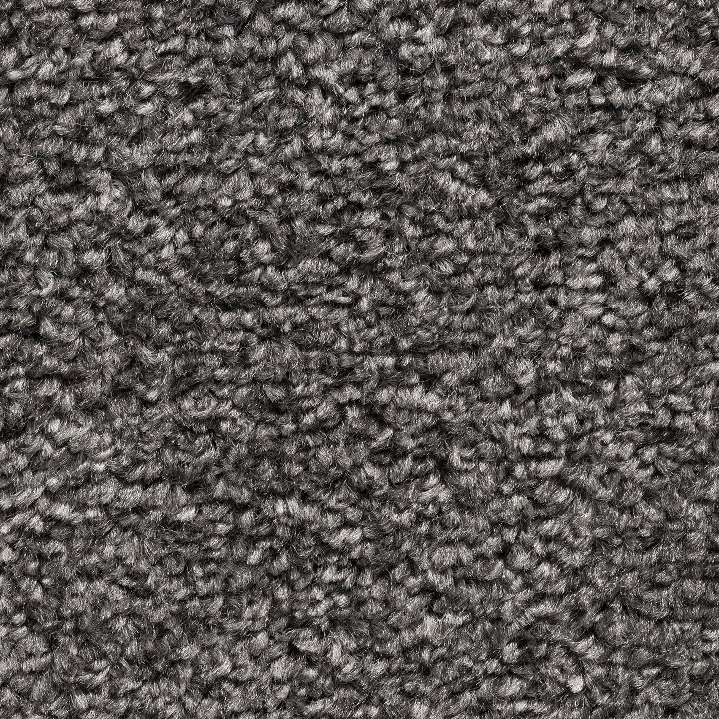 Cavello 8mm Soft Twist Pile Carpet with Felt Backing