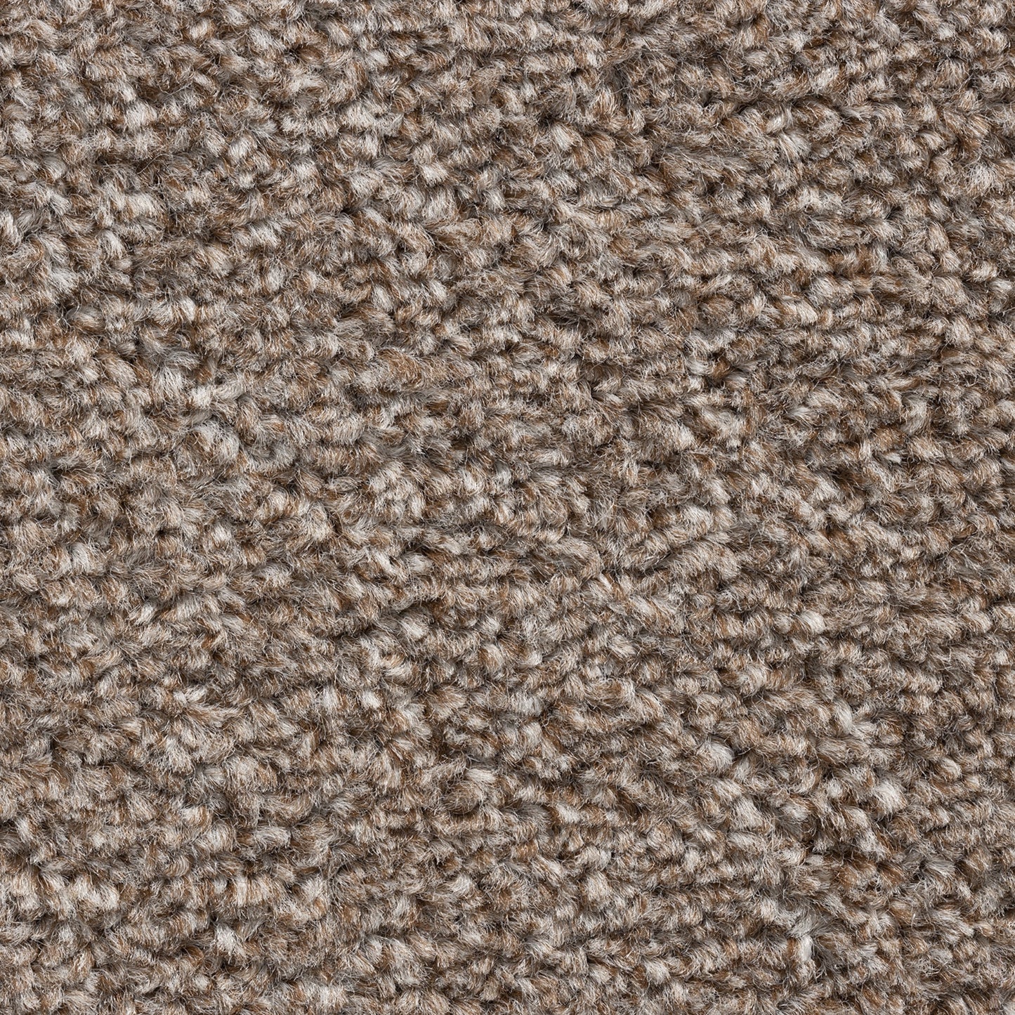 Cavello 8mm Soft Twist Pile Carpet with Felt Backing