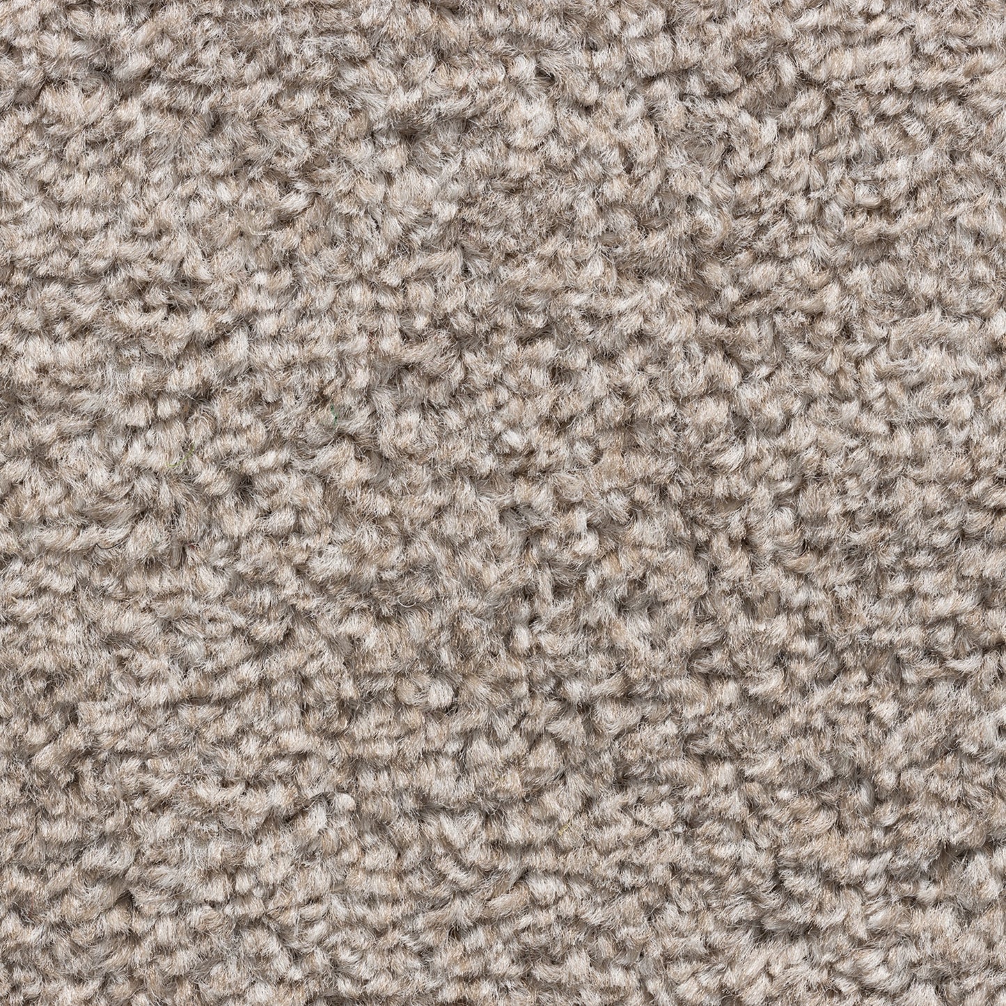 Cavello 8mm Soft Twist Pile Carpet with Felt Backing