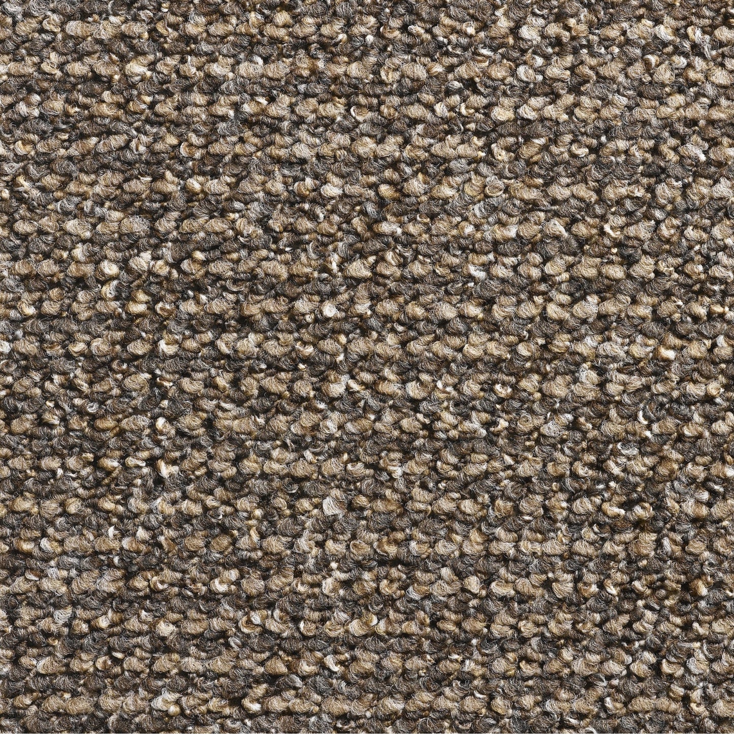 Conan 4mm Loop Pile Carpet with Felt Backing Sample