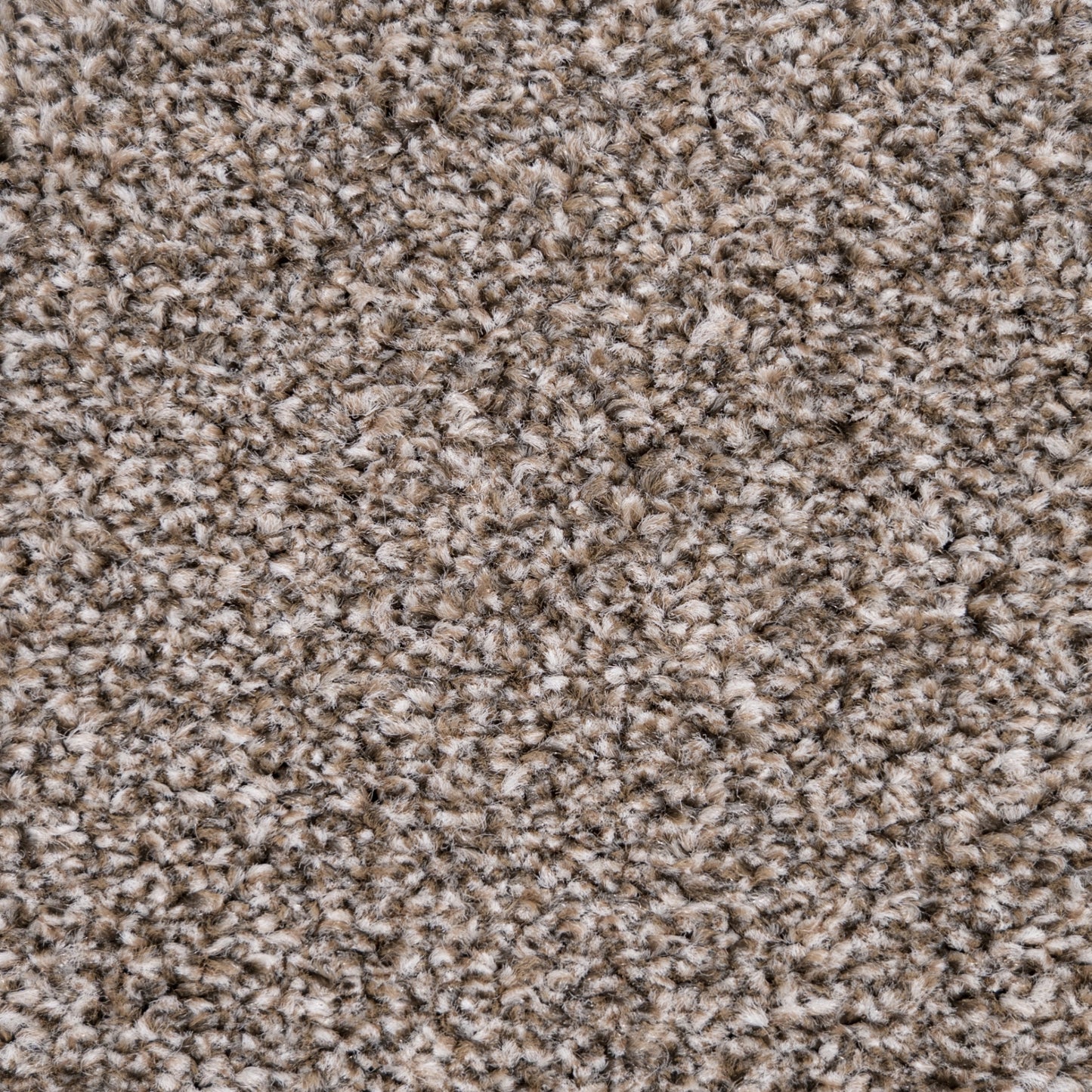 Monarch 14mm Saxony Pile Carpet with Action Backing Sample