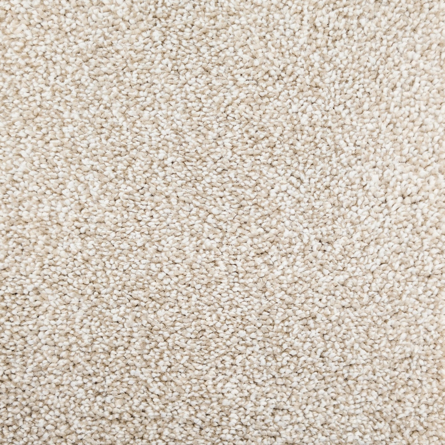 Polo 15.5mm Saxony Pile Carpet with Sky Backing