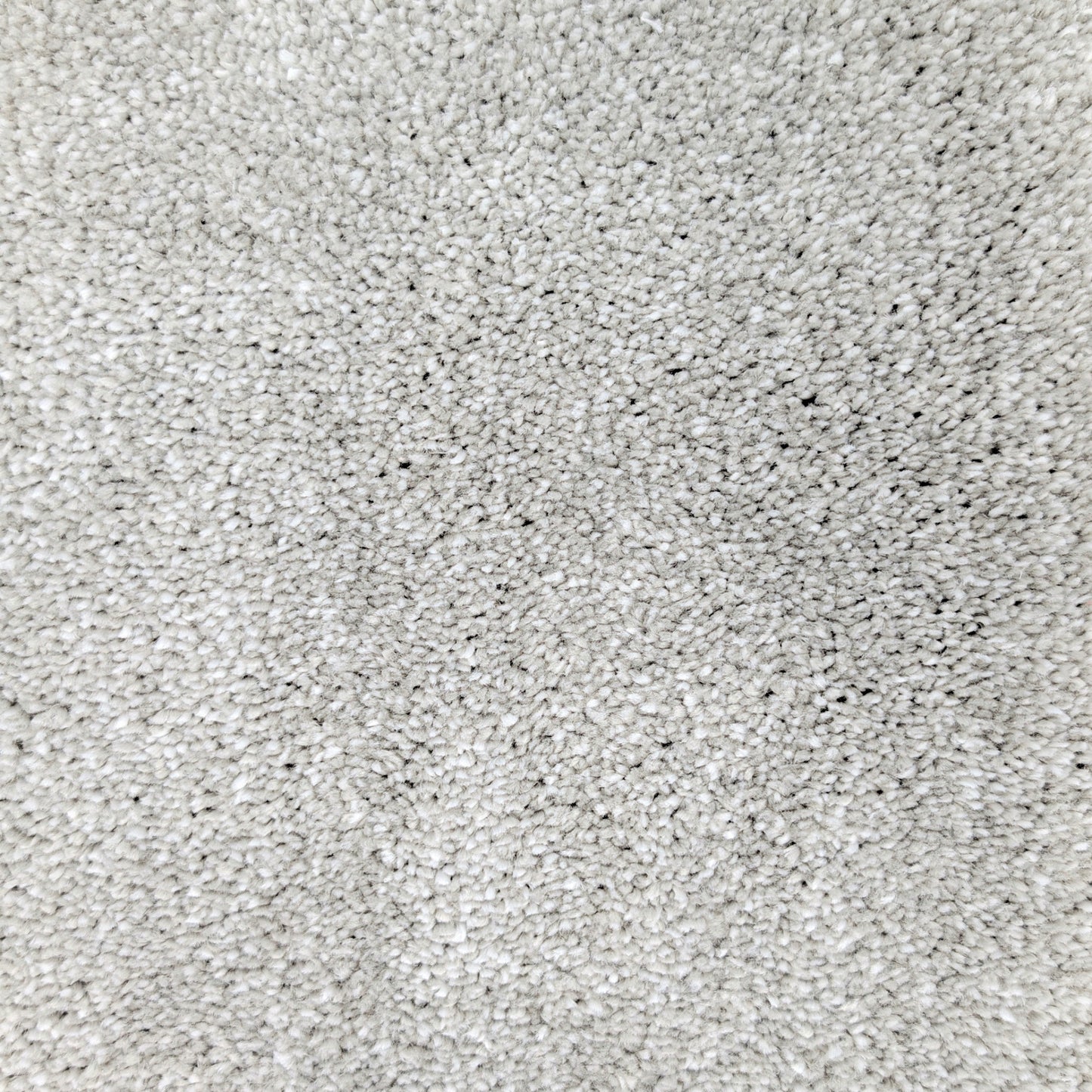 Polo 15.5mm Saxony Pile Carpet with Sky Backing