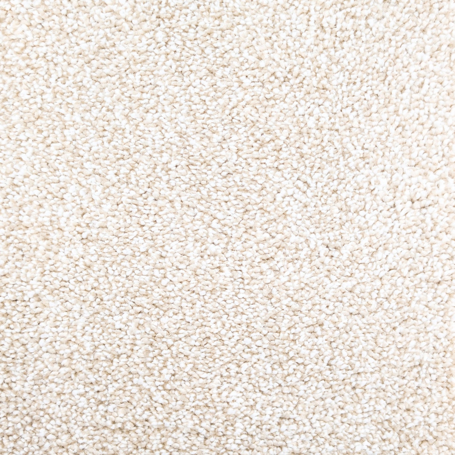 Polo 15.5mm Saxony Pile Carpet with Sky Backing