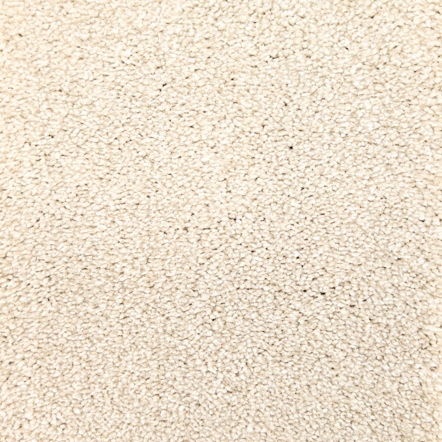 Polo 15.5mm Saxony Pile Carpet with Sky Backing