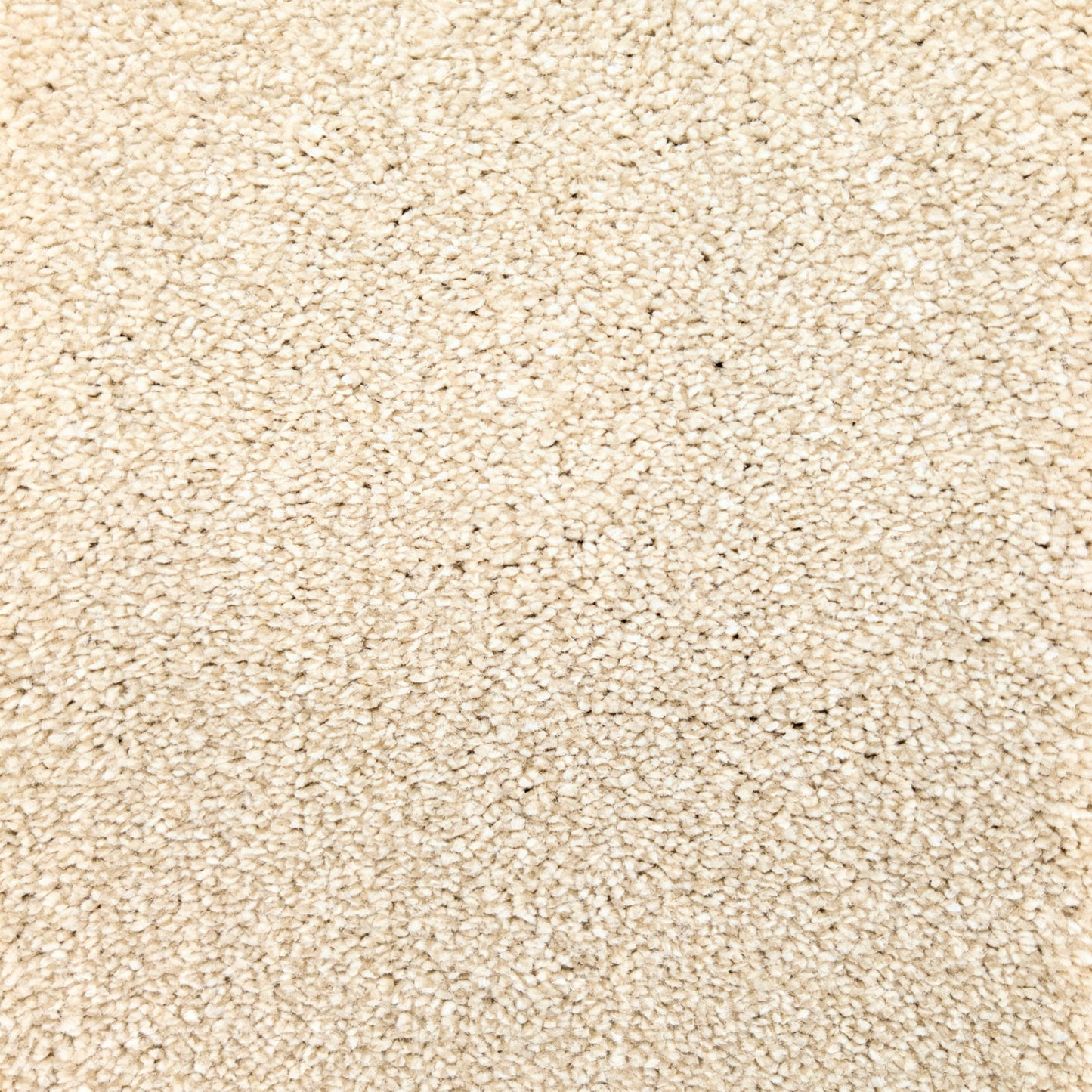 Polo 15.5mm Saxony Pile Carpet with Sky Backing