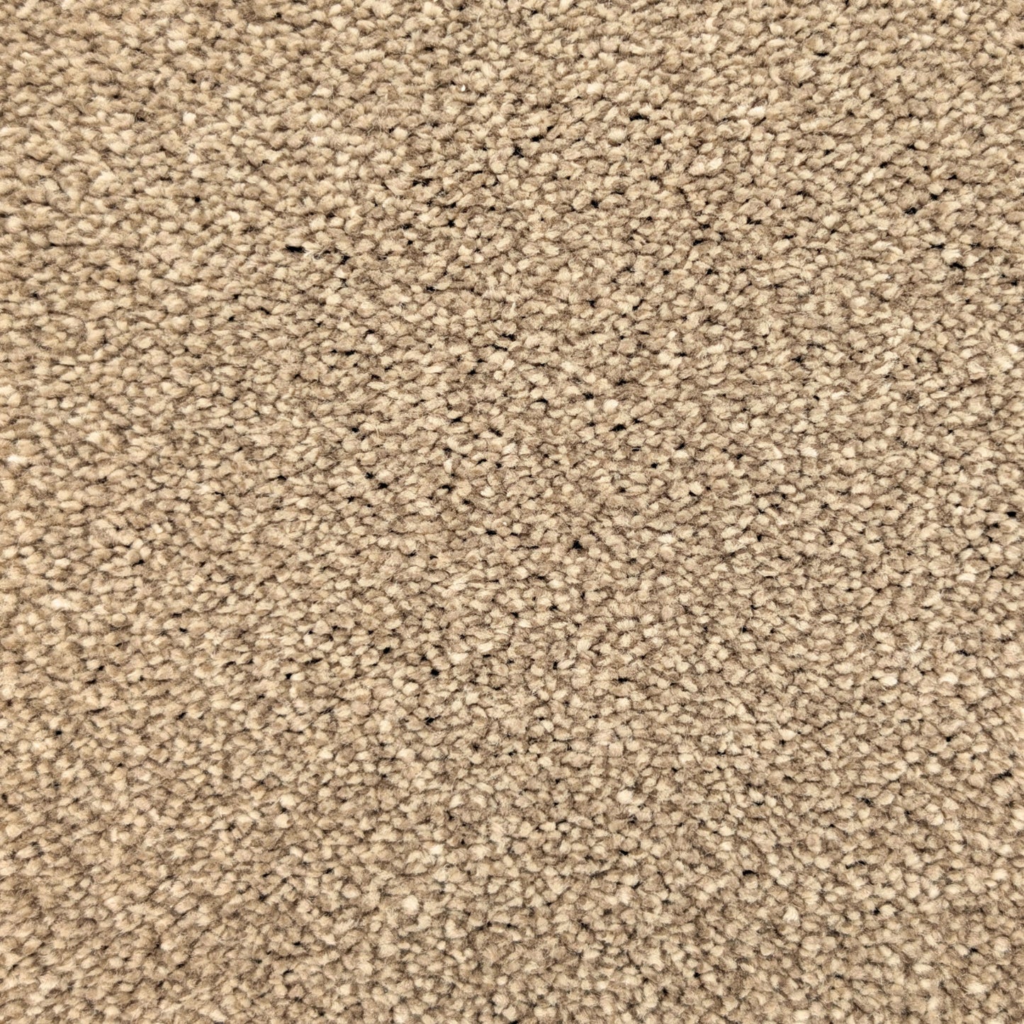 Polo 15.5mm Saxony Pile Carpet with Sky Backing