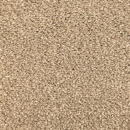 Polo 15.5mm Saxony Pile Carpet with Sky Backing