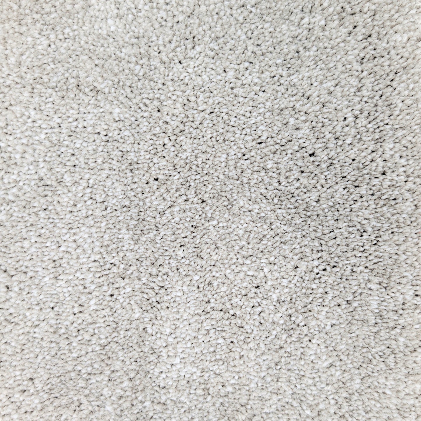 Polo 15.5mm Saxony Pile Carpet with Sky Backing