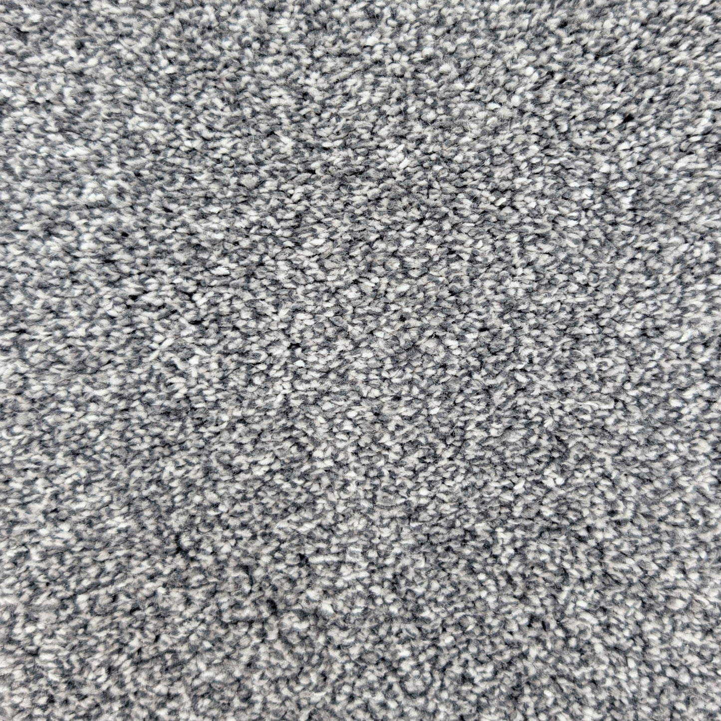 Polo 15.5mm Saxony Pile Carpet with Sky Backing