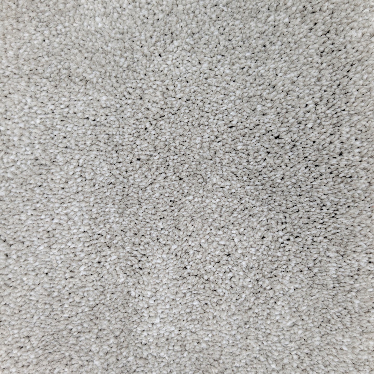 Polo 15.5mm Saxony Pile Carpet with Sky Backing