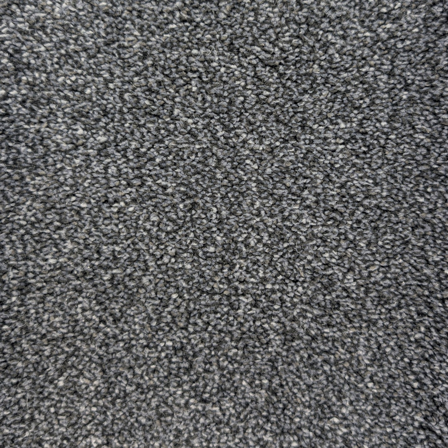 Polo 15.5mm Saxony Pile Carpet with Sky Backing