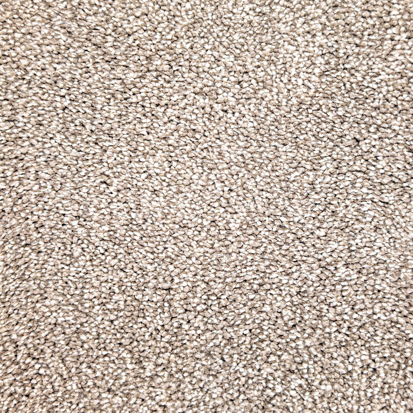 Polo 15.5mm Saxony Pile Carpet with Sky Backing