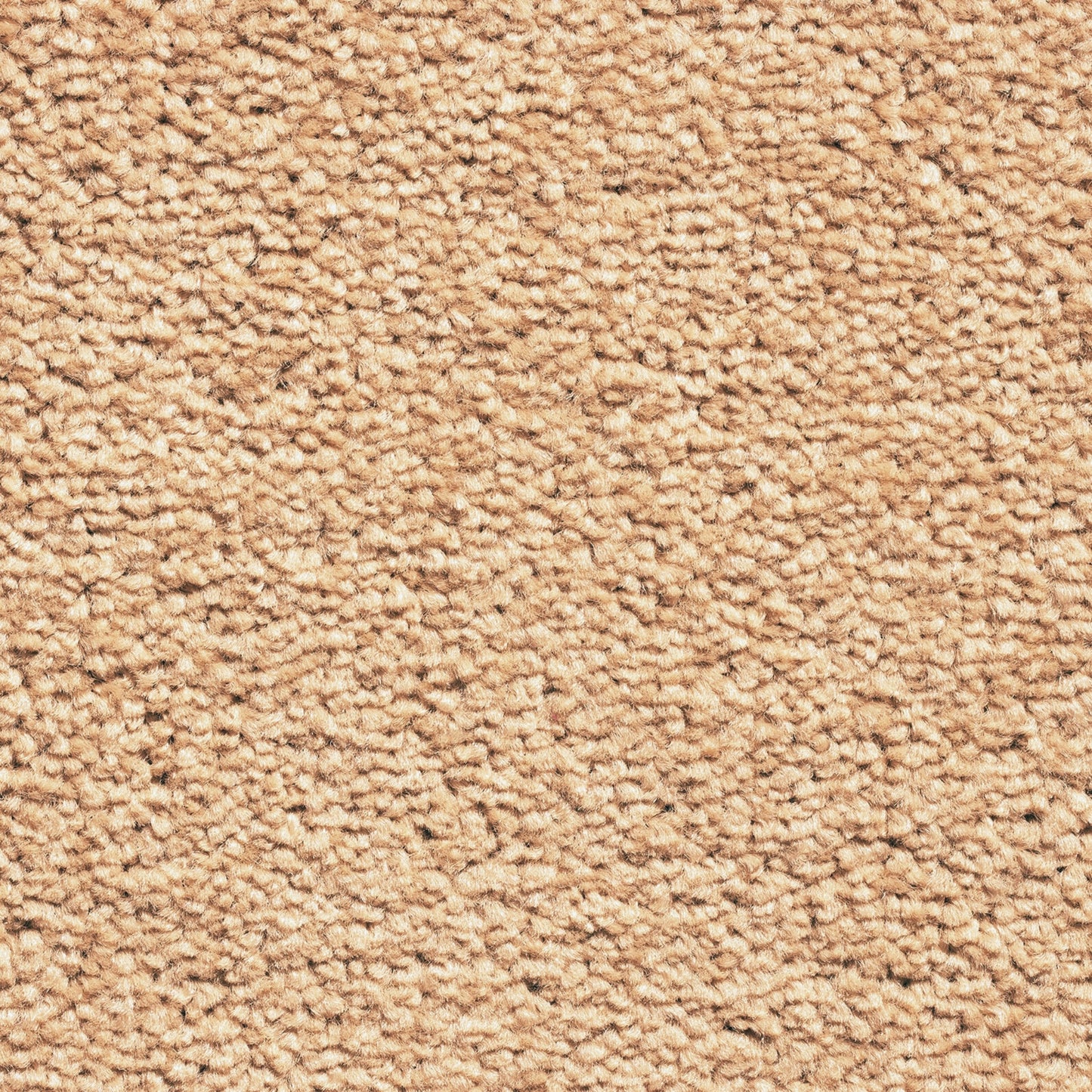 Serene 10mm Saxony Pile Carpet with Action Backing
