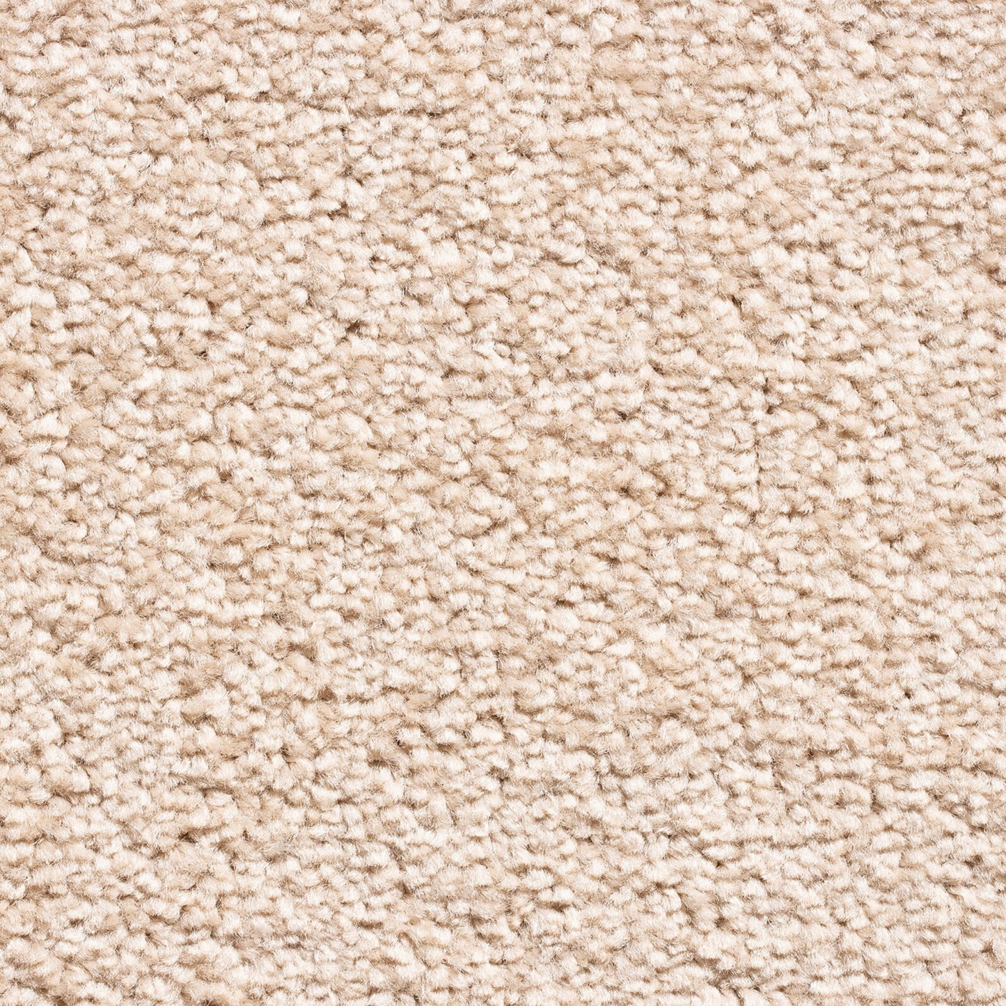 Serene 10mm Saxony Pile Carpet with Action Backing