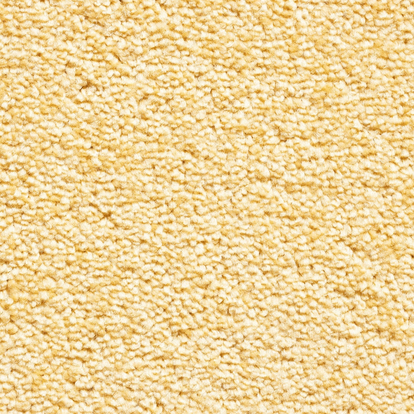 Serene 10mm Saxony Pile Carpet with Action Backing