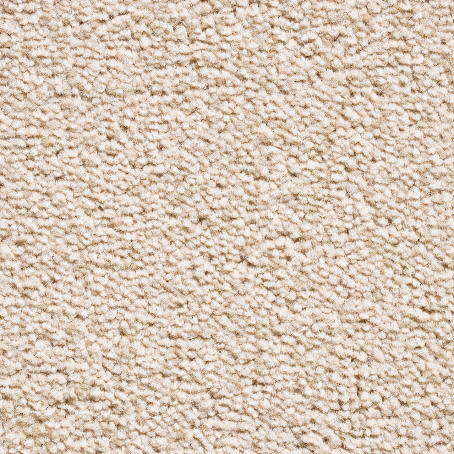 Serene 10mm Saxony Pile Carpet with Action Backing