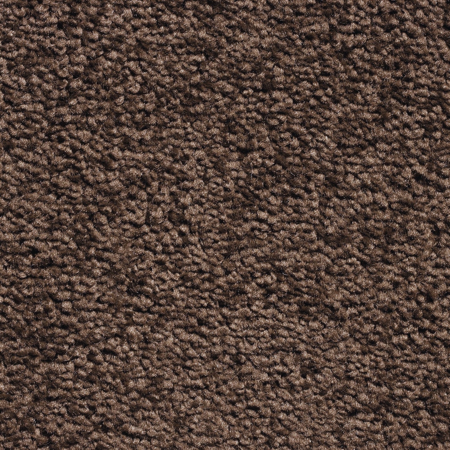 Serene 10mm Saxony Pile Carpet with Action Backing