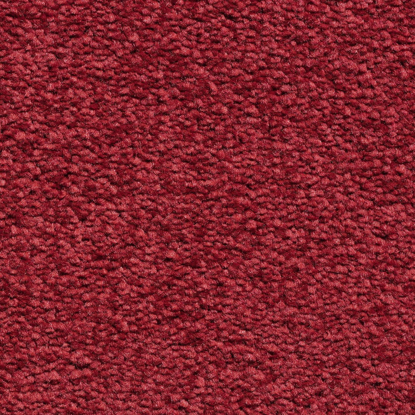 Serene 10mm Saxony Pile Carpet with Action Backing