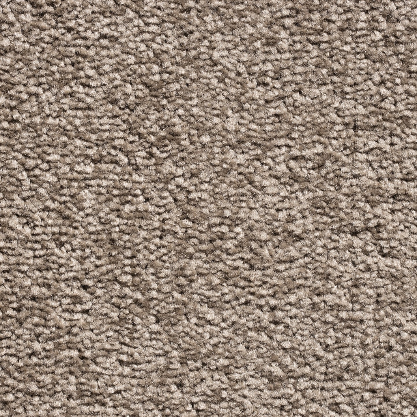 Serene 10mm Saxony Pile Carpet with Action Backing