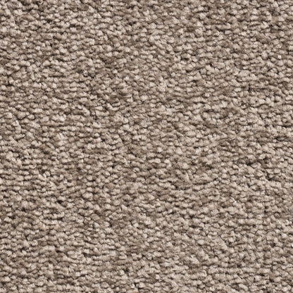 Serene 10mm Saxony Pile Carpet with Action Backing